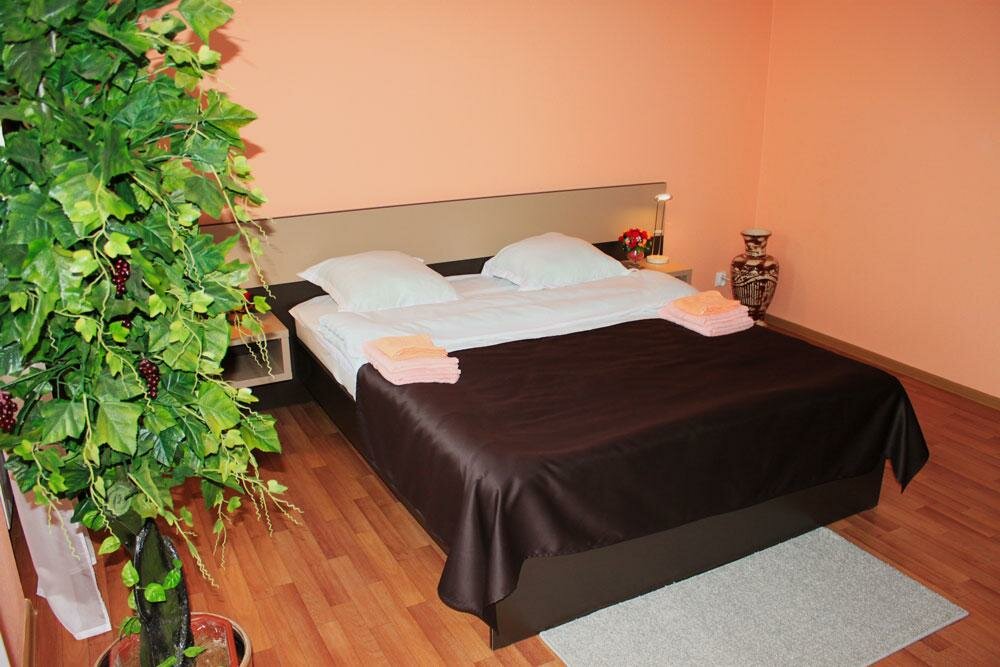 Апарт-отель Афины Сыктывкар-55