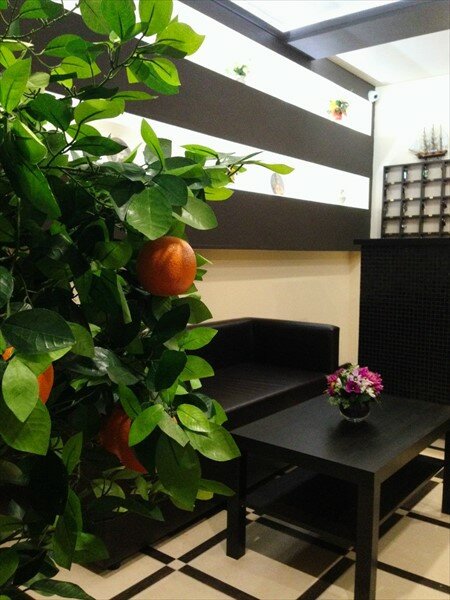 Апарт-отель Афины Сыктывкар