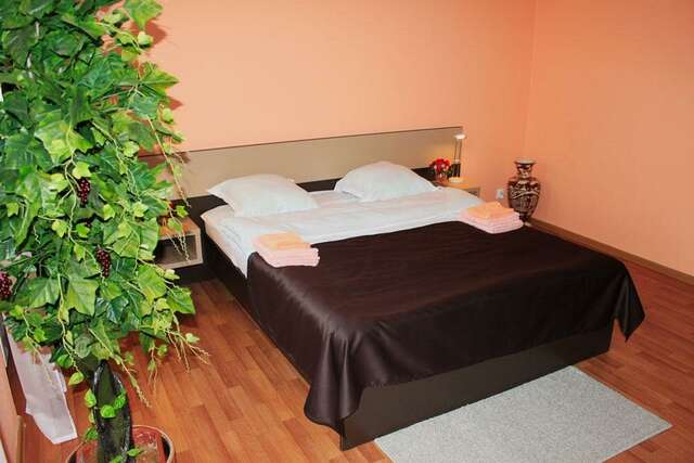 Апарт-отель Афины Сыктывкар-54